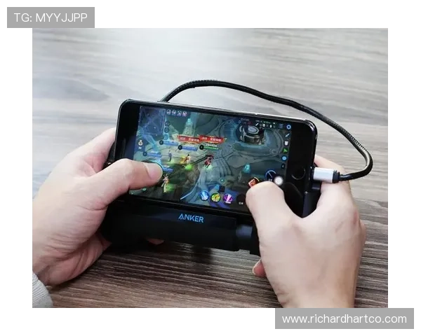 德赢官网真人游戏专业客服全天在线，保障玩家的每一次游戏体验