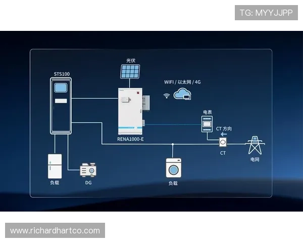 德赢ac米兰与vw合作的合作模式分析，如何实现双方资源的最大化利用
